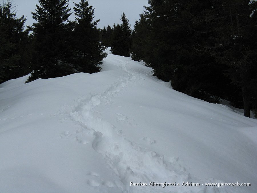 12  la nostra traccia  nella neve.JPG